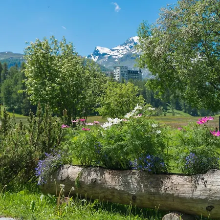 Apartment Chesa Flur Sulagl 1 *